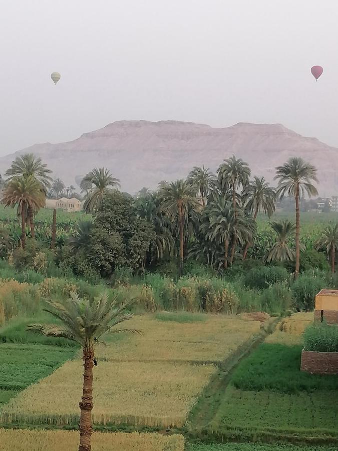 Palace * Luxor